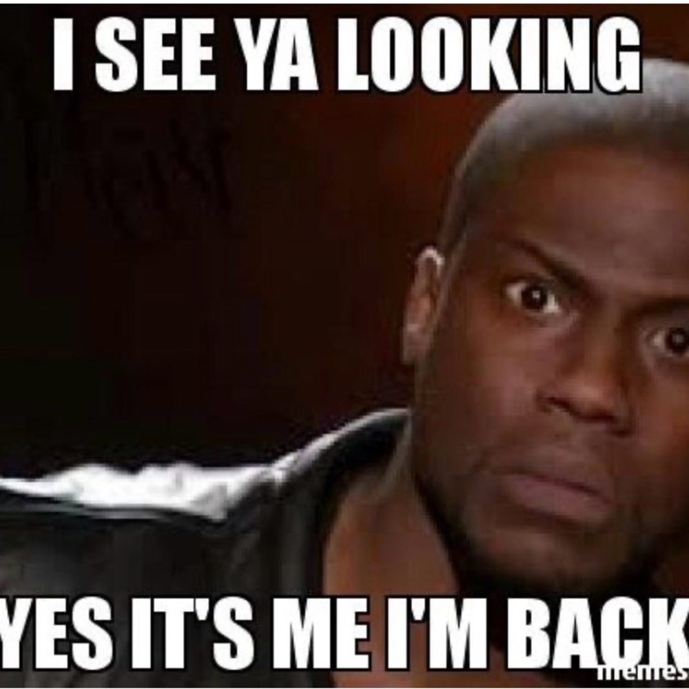 I’m Back …